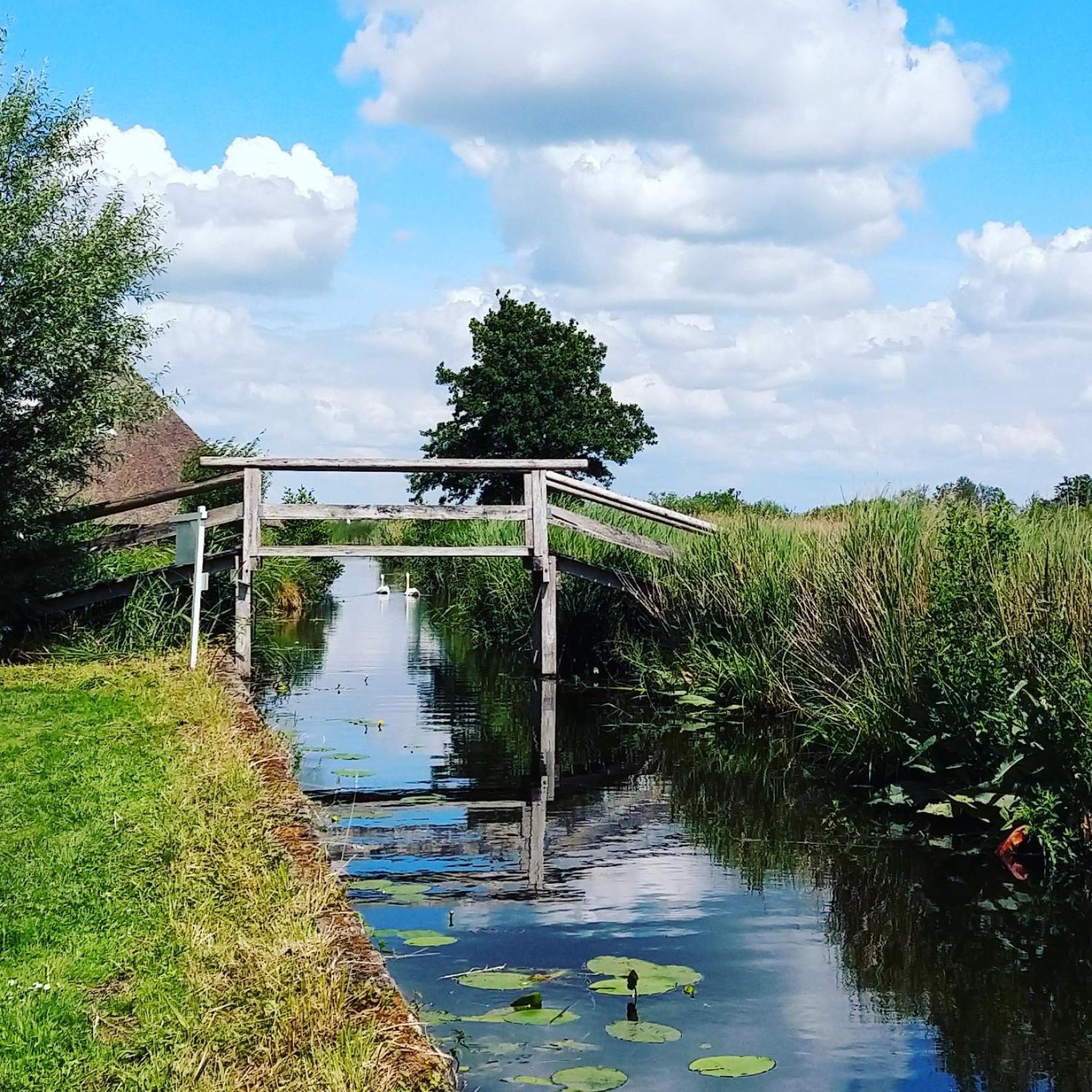 Het Waterhoentje Sint Jansklooster Esterno foto