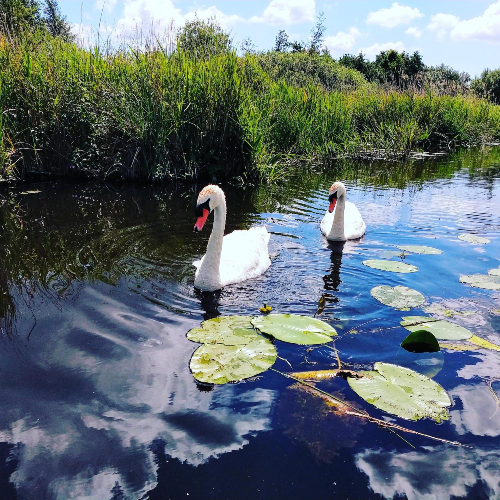 Het Waterhoentje Sint Jansklooster Esterno foto